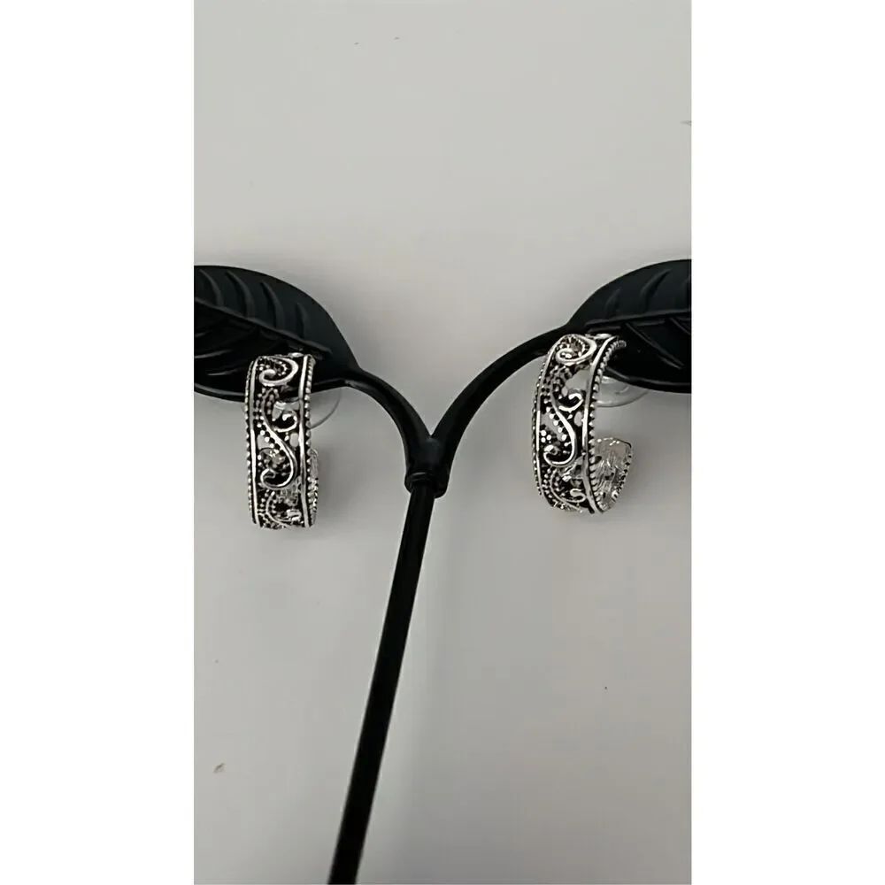 Sensitive Ears Nickel Free Stainless Steel Semi Circle Earrings Hypoallergenic N